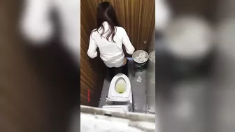 Public Women Toilet 1