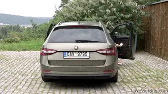 Licky Lex - Skoda Superb