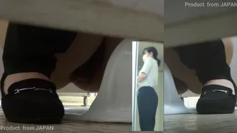 15391150 HD Japanese Toilet Style.288, Wandering Voyeur, PissRIP