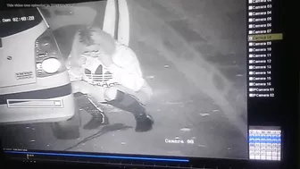 Chick Pees On Security Cam By Car