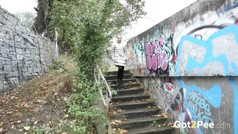 Public On The Steps