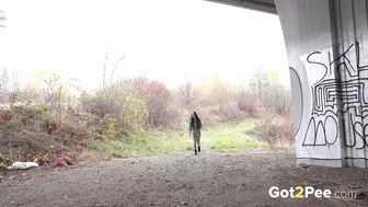 Squatting Under The Bridge