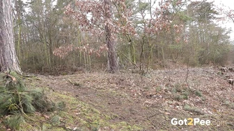 Relief On Woodland Path