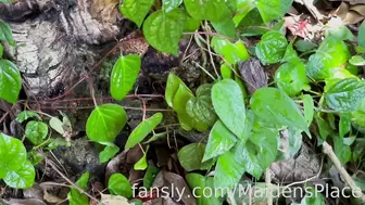 MaidensPlace - Love being in contact with nature