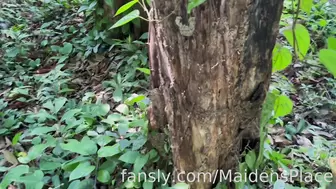 MaidensPlace - Love being in contact with nature