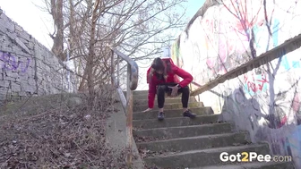 Suburbs Steps