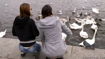 Renata Vesecka & Bara Cermakova - Feeding swans