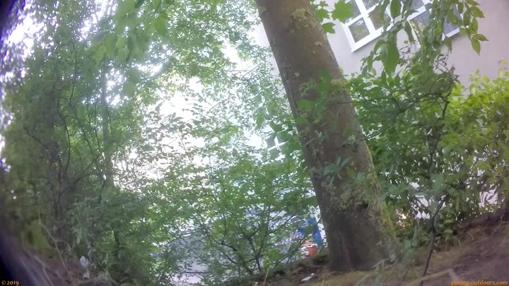 Beer Festival Summary 0057 - Peeing-Outdoors Videos
